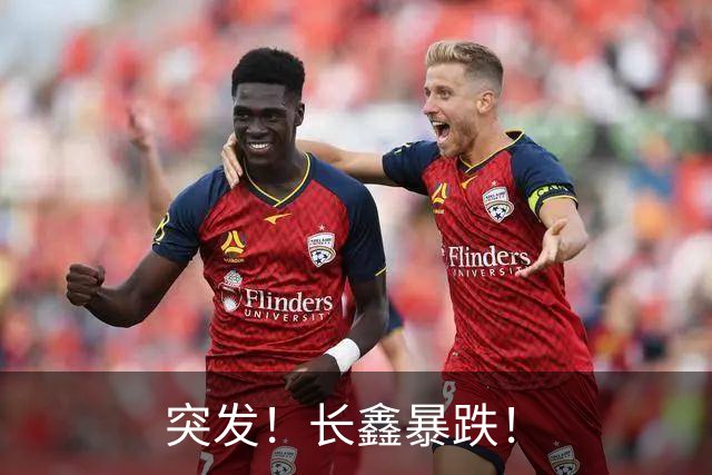突发！长鑫暴跌！